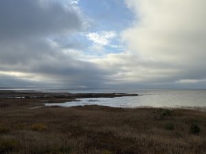 võrtsjärv